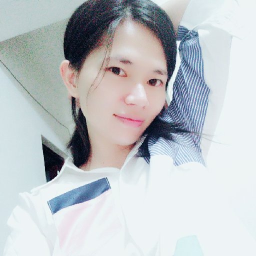 誘惑的貓
