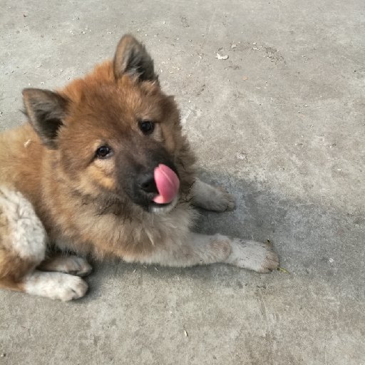 墨楹