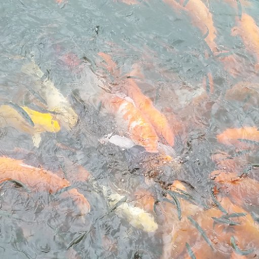 知風勁草