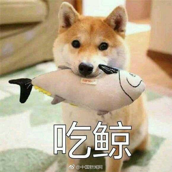 夜雨聞鈴0