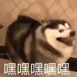 墨君毅