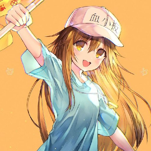 一念空夢