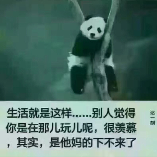 寫書的老書蟲