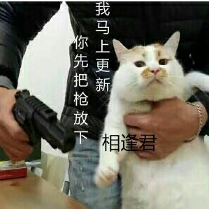 相逢應(yīng)不識