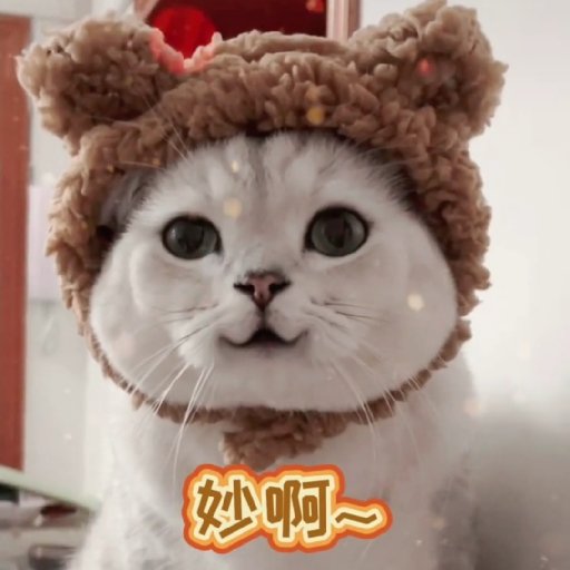 落雨無塵