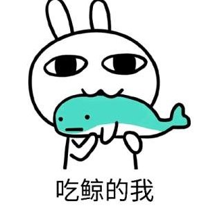 白衣惹