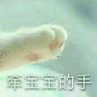 小小憤青