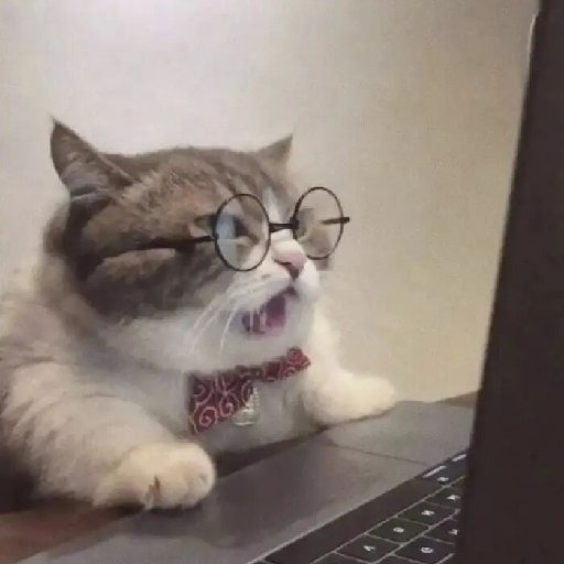 一介草包
