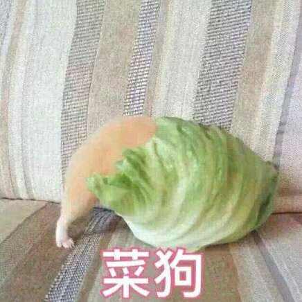 迷失者山風
