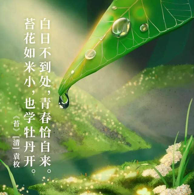曠世奇豬