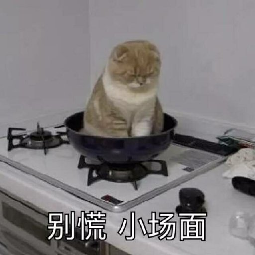 頭發掉了