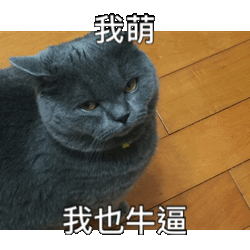 寂寞的眼光