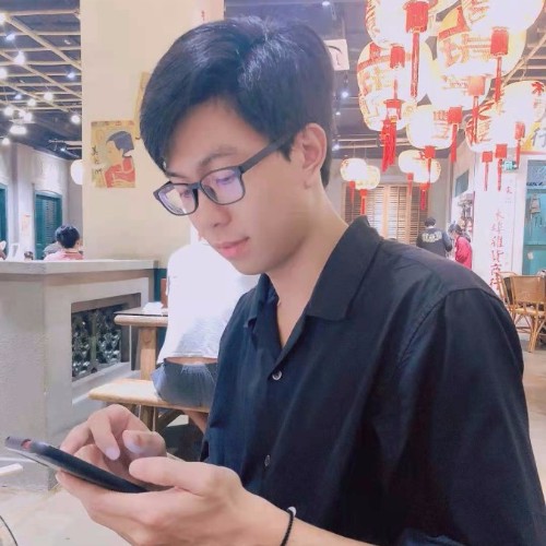 墻頭上的貓1