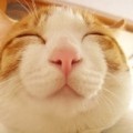 威館長