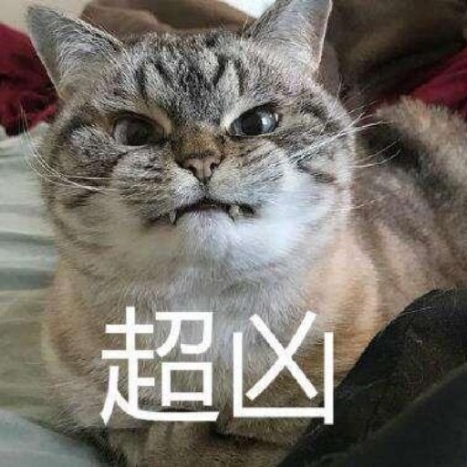 紅豆兒啊