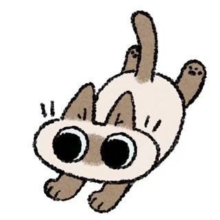 黑貓假面
