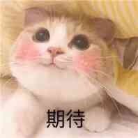 不問蒼生問鬼神