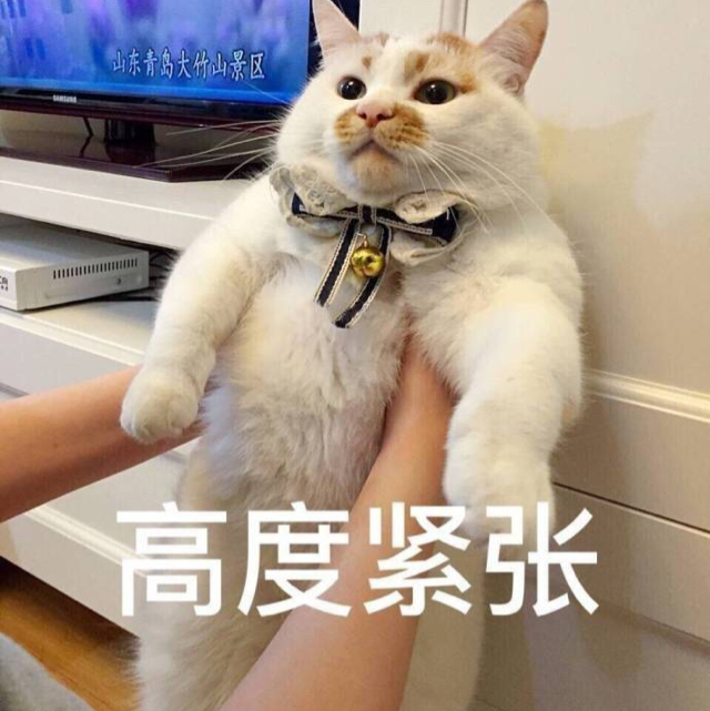 蔥爆紅燒肉