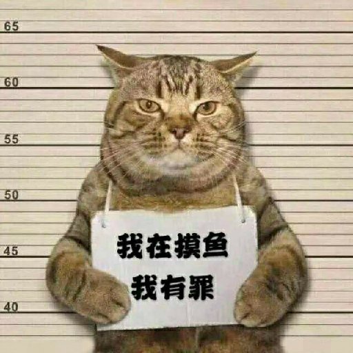 太白貓