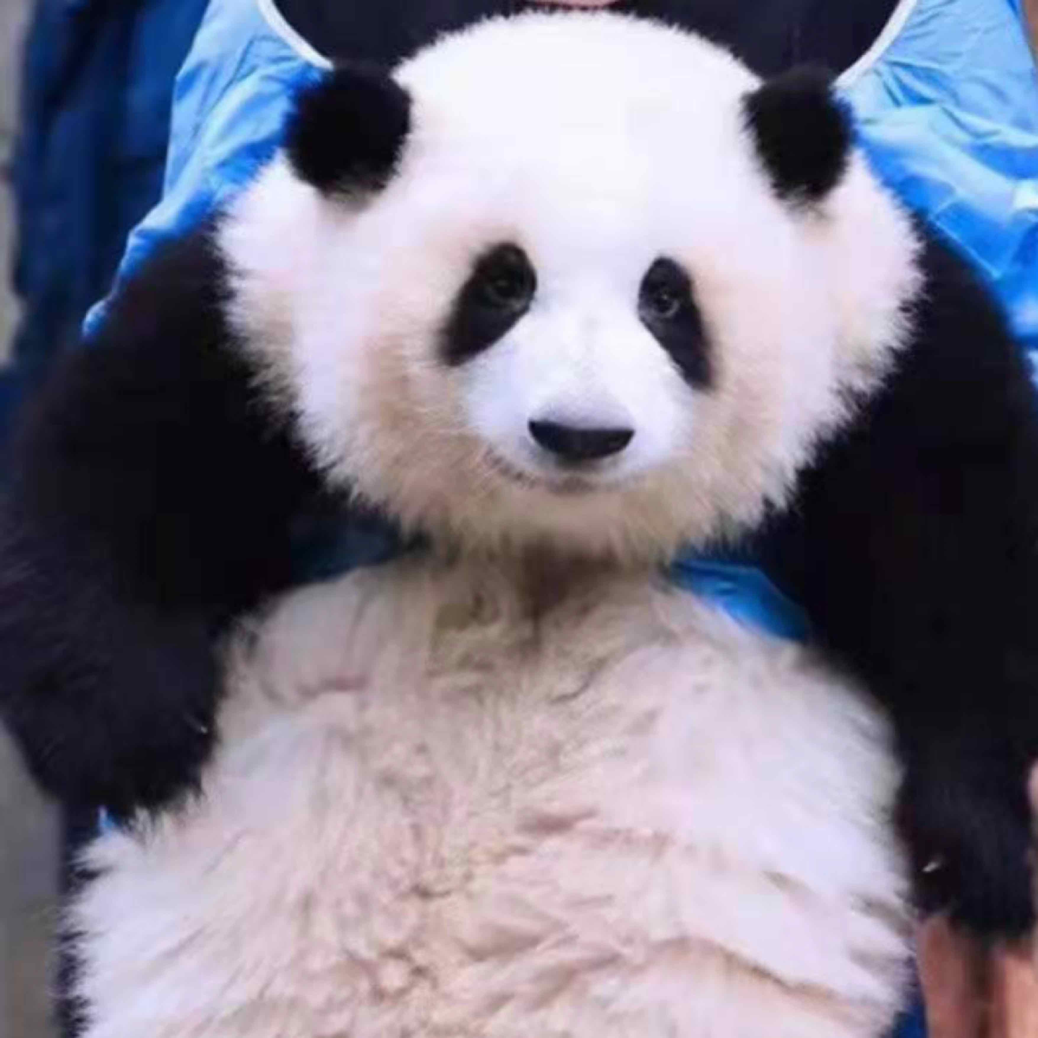荊洚曉