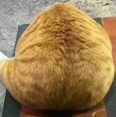 天云翔馬