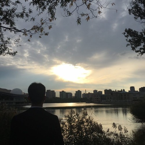 小杜探花