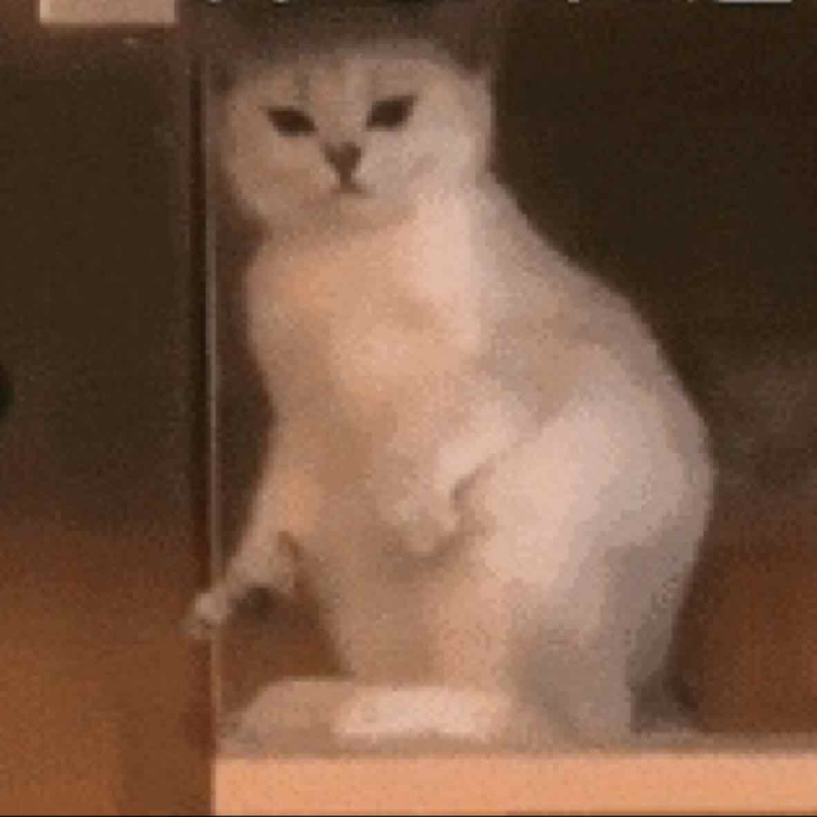 筆之海