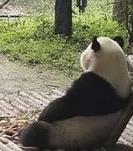 西泉