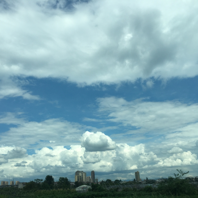 咸淡剛剛好