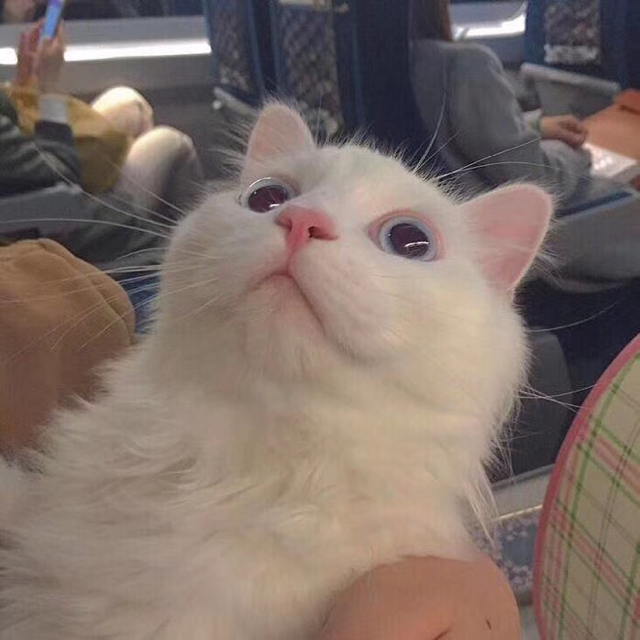 牧已