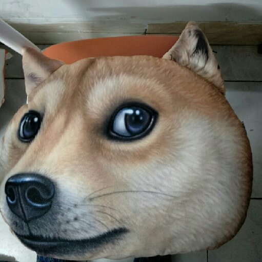 獅子座QAQ