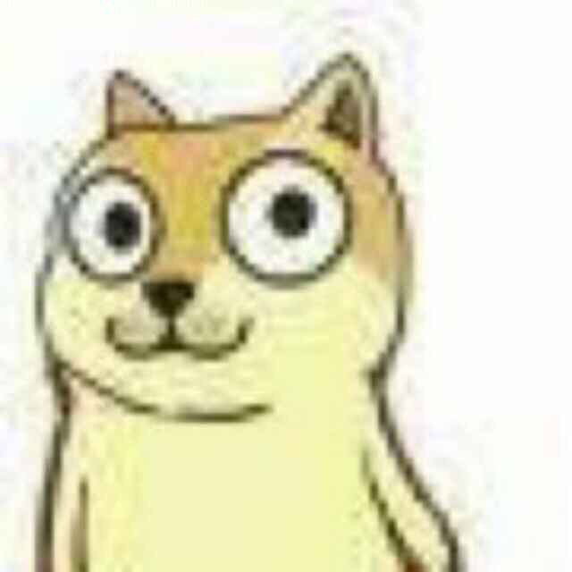 小鯡貓