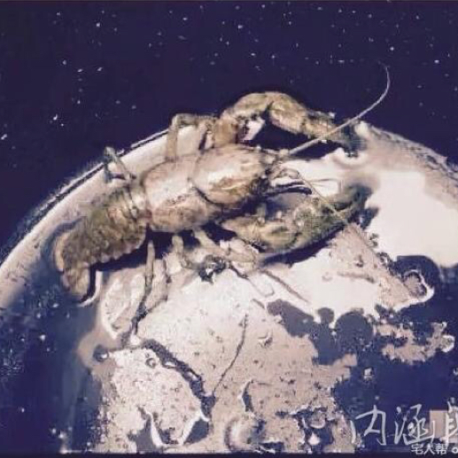 我意為天