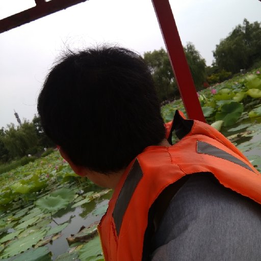 格子里的陽光