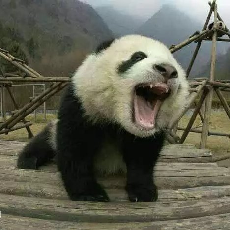 妍喜一生