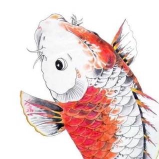 一年份的咸魚