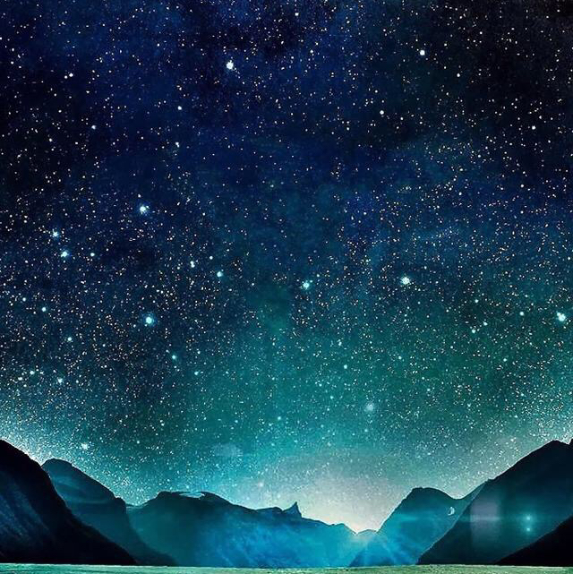 金牌蘿卜