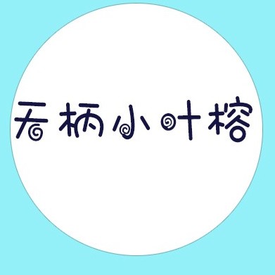 無柄小葉榕