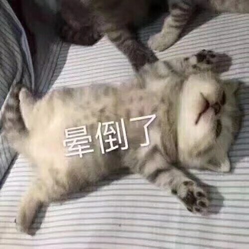 泡面之王