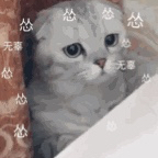 巫馬行