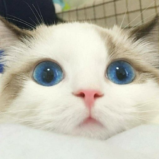 大漠雪夜未央