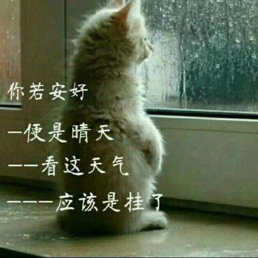 血天機