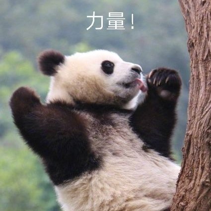 爆炒腰花好吃