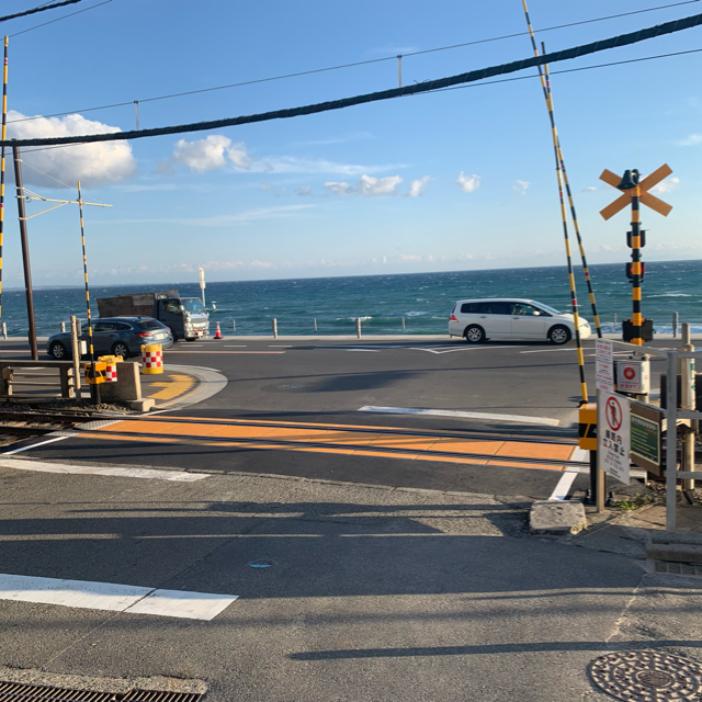 當一條黃鱔