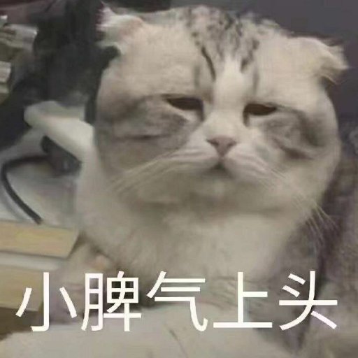 端妞