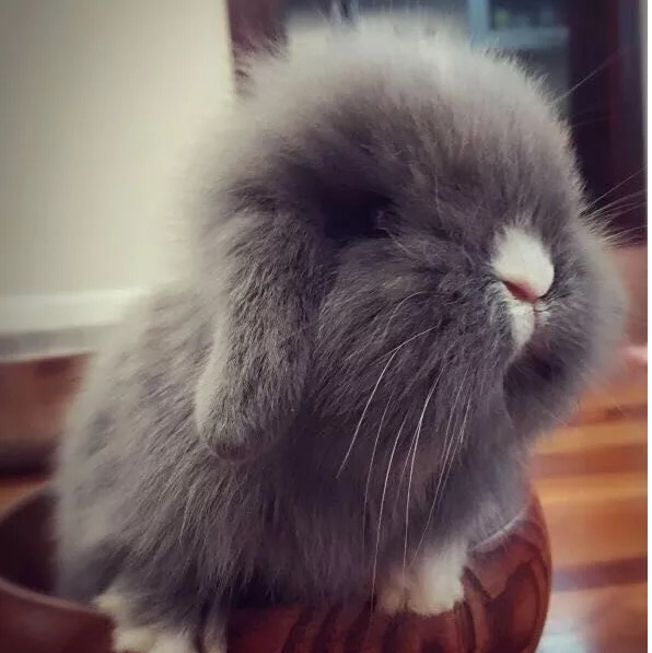 暖陽如玉