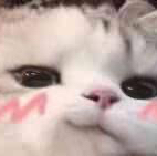 堂中月