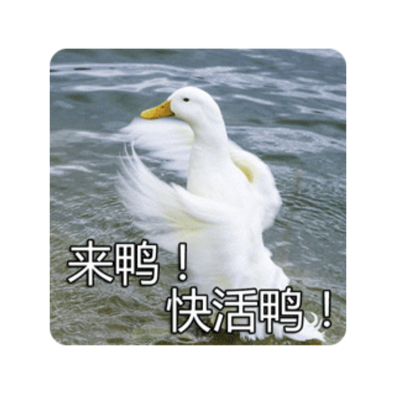 血鴨