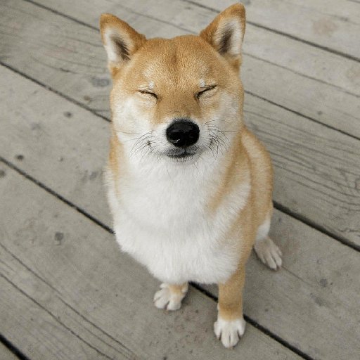 蕉蕉打野怪