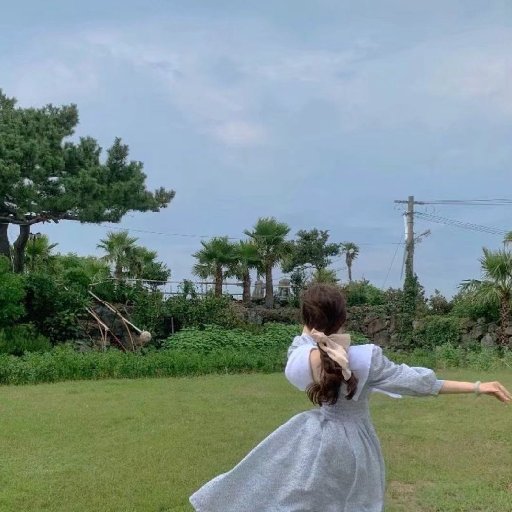 酸葡萄葉